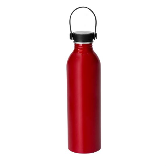 BOTELLA 'STEEL' - 640ml