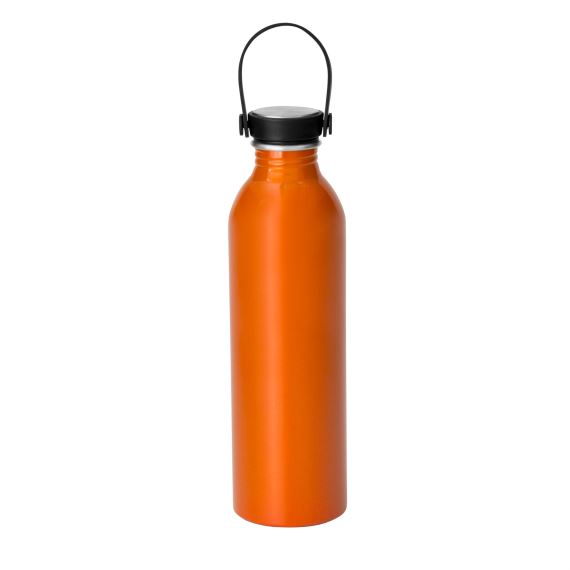 BOTELLA 'STEEL' - 640ml